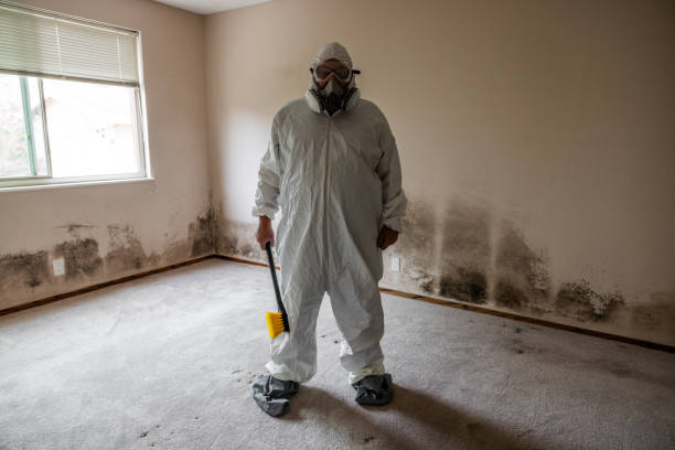 Mold Odor Removal Services in Mexia, TX